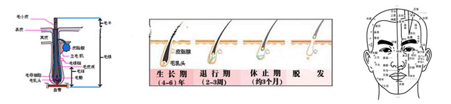 深圳美發學校